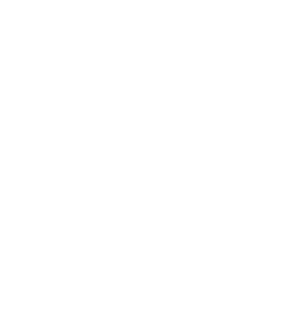 RDS Logo